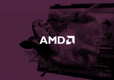 Amd1