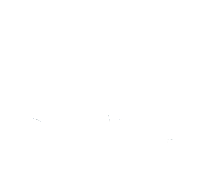 LBJ Foundation Logo