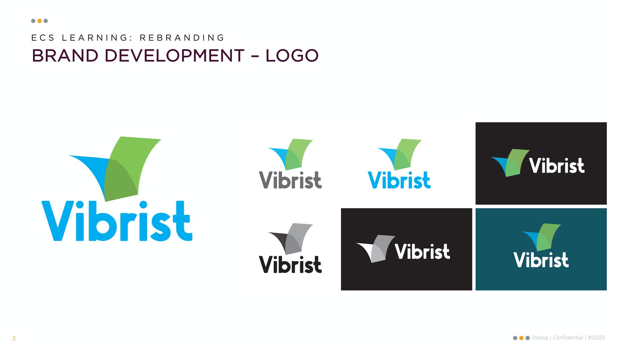 Vibrist_CaseStudy_Slide2