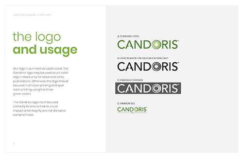 500x325_Rebranding_Candoris_Guidelines_02