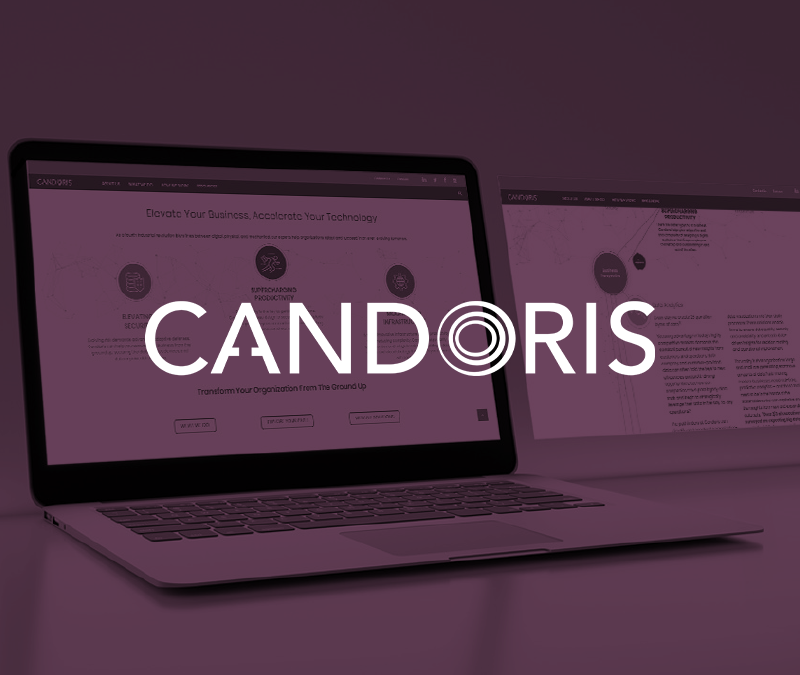 Candoris Corporate Repositioning, Rebranding, and Execution
